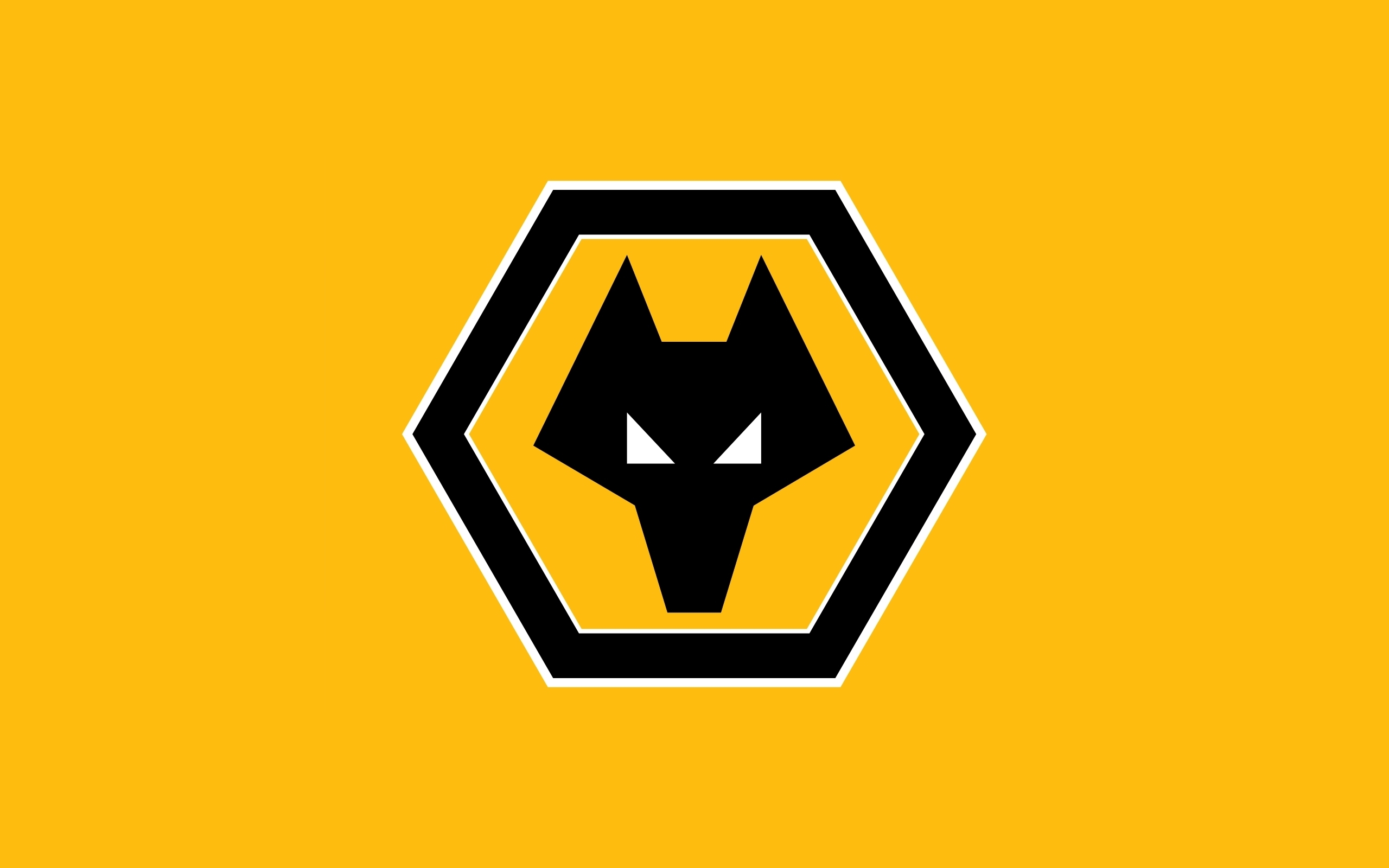 Wolverhampton Wanderers Primary logo t shirt iron on transfers